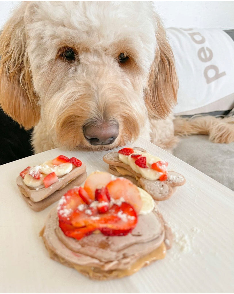 Homemade Treats for Dogs: A Tail-Wagging Delight