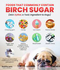 Birch Sugar Toxins: What Dog Owners Need to Know