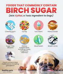 Birch Sugar Toxins: What Dog Owners Need to Know – Bark Bistro