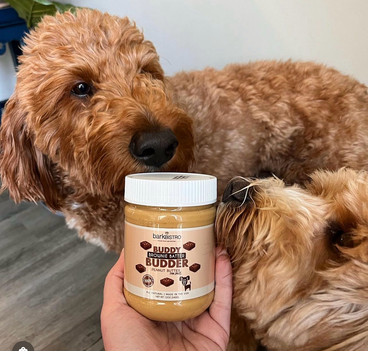 Safest peanut clearance butter for dogs