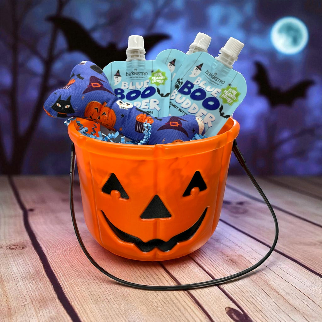 Halloween pumpkin bucket with Blue Boo Buddy Budder squeeze packs and stuffed Halloween dog toys