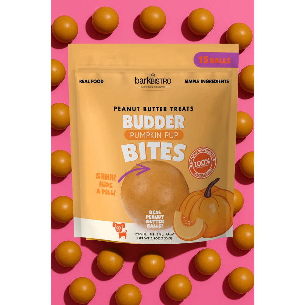 Pumpkin Pup Buddy Budder Bites, natural peanut butter dog treats with pumpkin, 15 soft bite-sized balls, 5.3oz package.