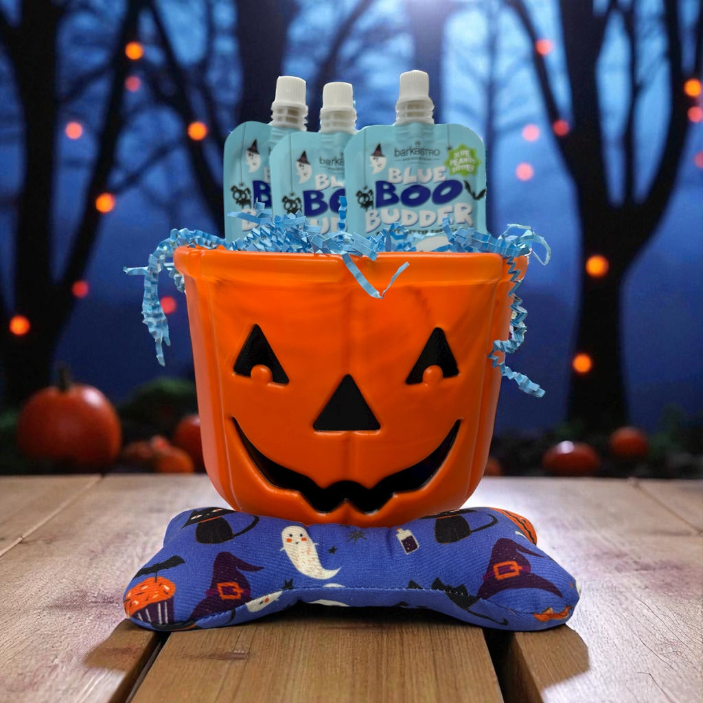 Halloween pumpkin bucket filled with Glazed Donut Buddy Budder dog peanut butter squeeze packs and a stuffed Halloween dog toy on a wooden table