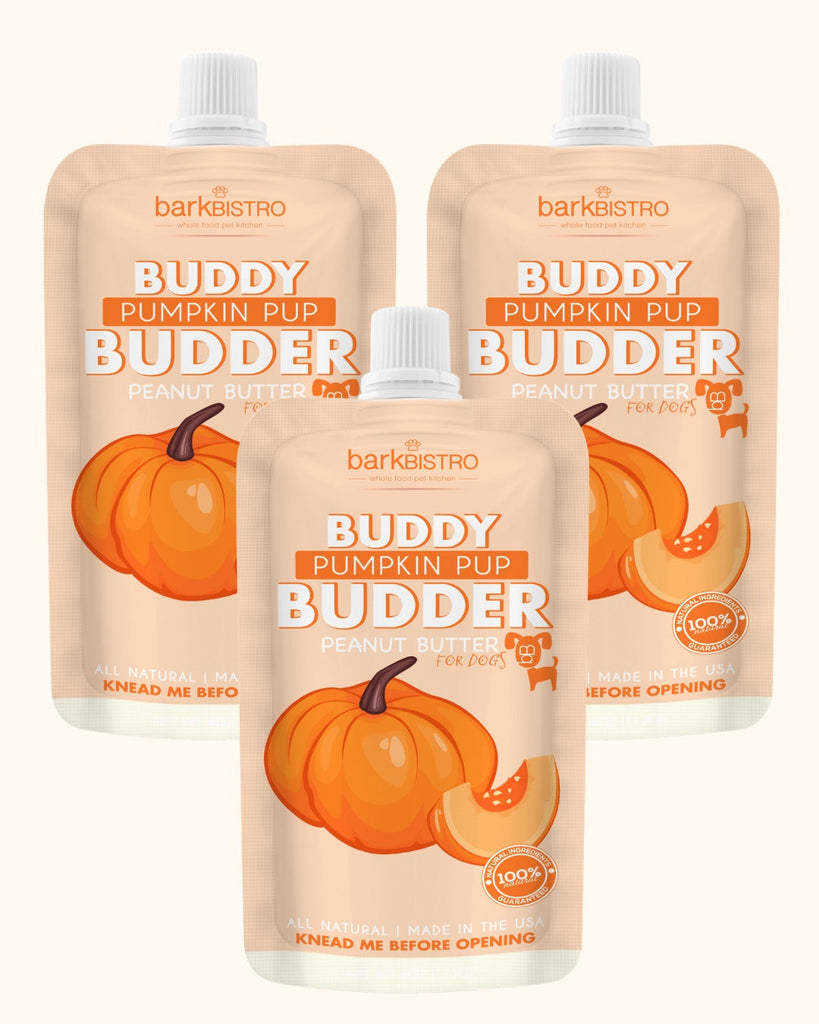 Three 4oz squeeze packs of Pumpkin Pup Buddy Budder all-natural dog peanut butter with pumpkin and cinnamon, made in the USA