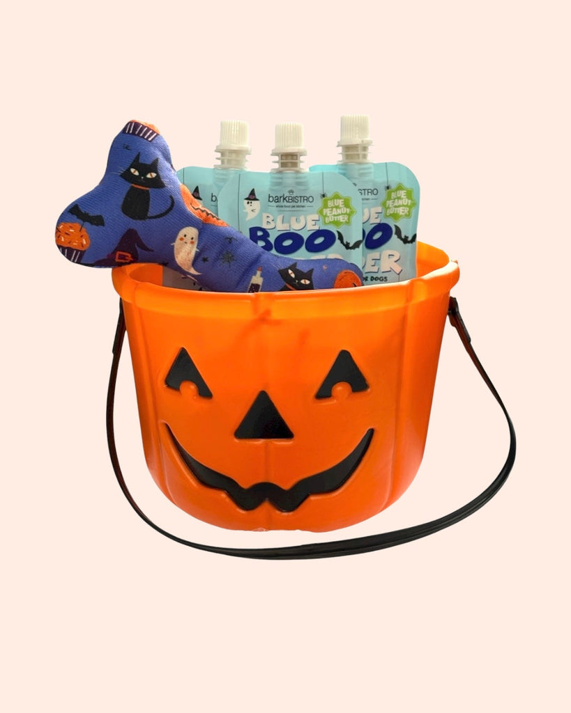 Halloween pumpkin bucket with LIMITED EDITION BOO Buddy Budder dog peanut butter squeeze packs and stuffed Halloween toy