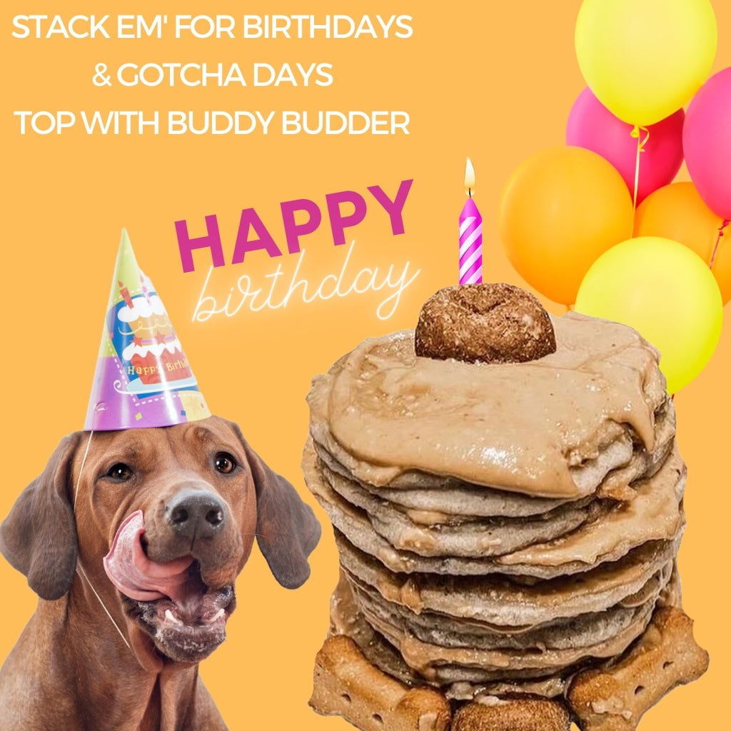 CARROT CAKE POOCH PANCAKES + BUDDY BUDDER (bundle)100% natural Dog Pancakes + Dog Peanut Butter, Made in USA - Bark Bistro