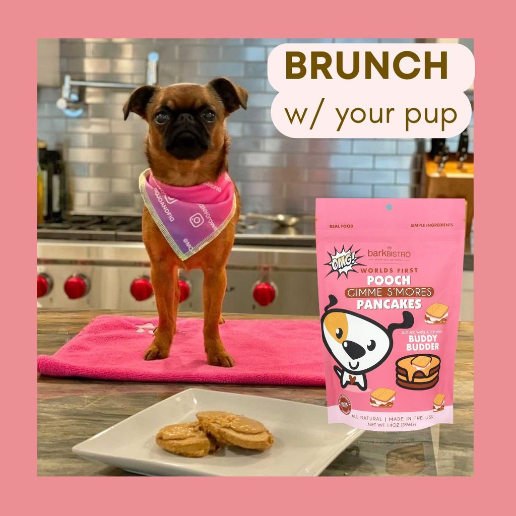 GIMME S'MORES POOCH PANCAKES + BUDDY BUDDER (bundle)100% natural Dog Pancakes + Dog Peanut Butter, Made in USA - Bark Bistro