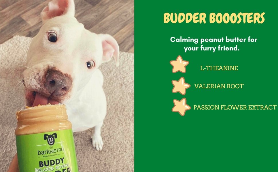 Relaxed Rover + Bow-Wow Blueberry BUDDY BUDDER - 100% natural Dog Peanut Butter, Made in USA 17oz - Bark Bistro
